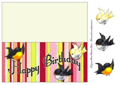 Birthday Birds Hot Stripes
