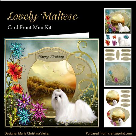 Lovely Maltese Card Front