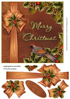 Laughing Thrush and Hollies