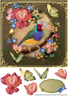 Gouldian Finch Card Front 8x8