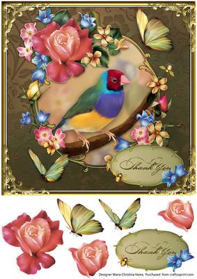Gouldian Finch Thank You 8x8