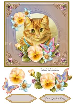 Vintage Cat Special Day 7x7 Cf.