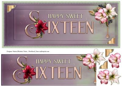 Happy Sweet Sixteen Large Dl