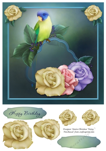 Wonderbird 8x8 Card Front