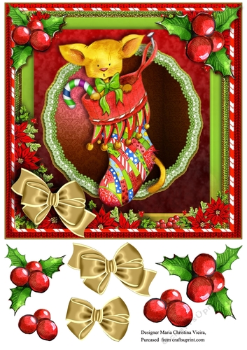 Christmas Stocking delight card Front