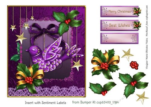 Christmas Bird Ornament CF 6X7 Grape