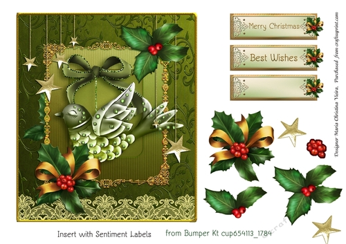 Christmas Bird Ornament CF 6X7  Alge