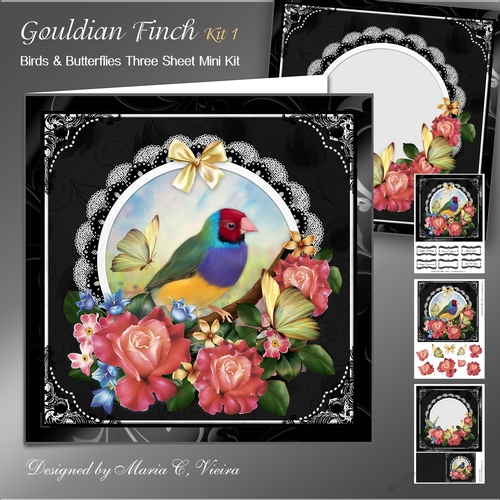 Gouldian Finch Card Front Kit One