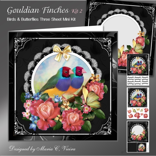 Gouldian Finch Card Front Kit Two