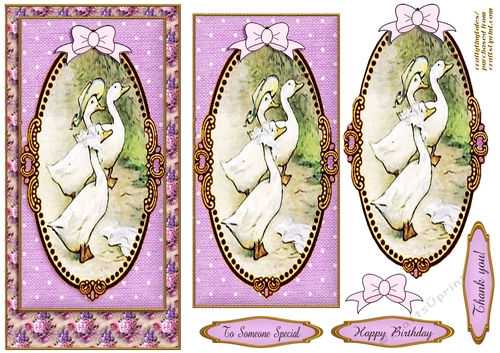 Peter Rabbit DL. Card Front 1