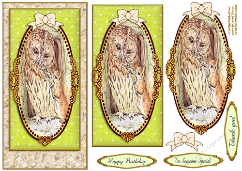 Peter Rabbit DL. Card Front  3