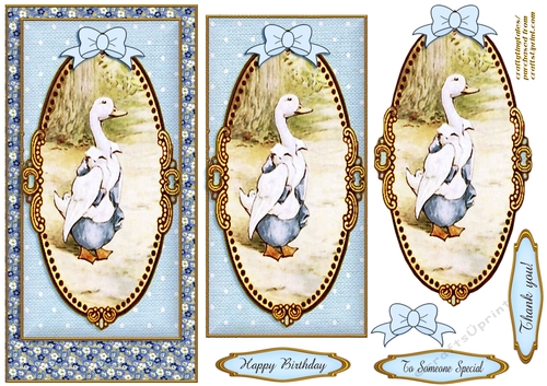 Peter Rabbit DL. Card Front  5