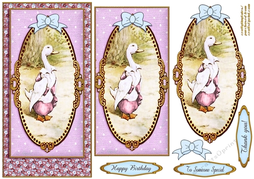 Peter Rabbit DL. Card Front  6