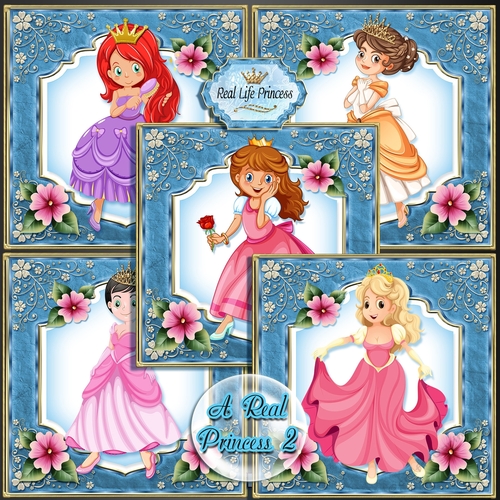 A Real Princess Card Front Bumper Kit.2