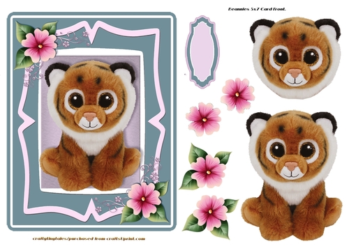 Beanie 5x7 Card Front 3