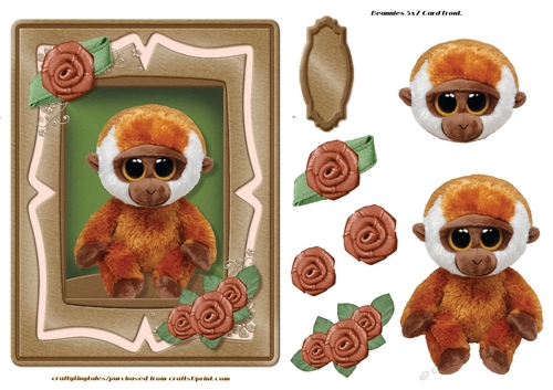 Beanie Series 5x7 Card Front 3 Set Two. 