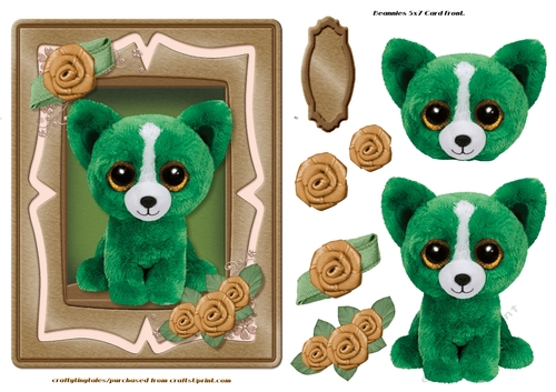 Beanie Series 5x7 Card Front 7 Set Two. 