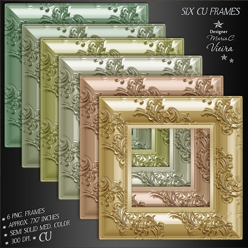 Six Med.Color Floral Print Frames CU Kit.2