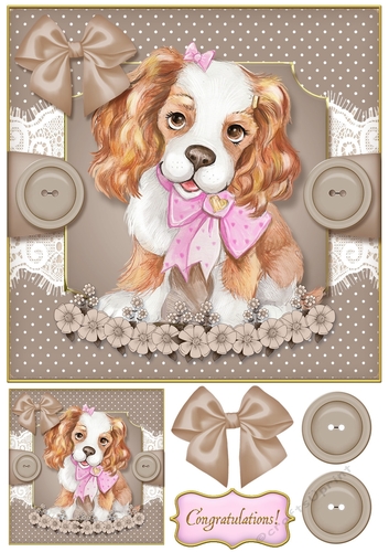 Baby Pets 8x8 Card Front 6