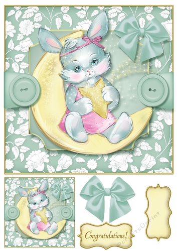 Baby Pets 8x8 Card Front 8