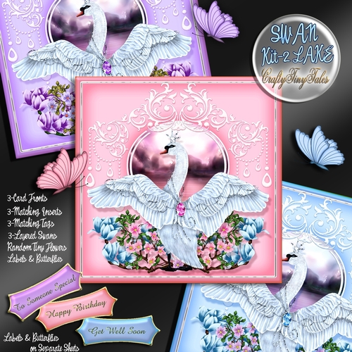 Swan Lake 3 Kit Card Front Bundle-2