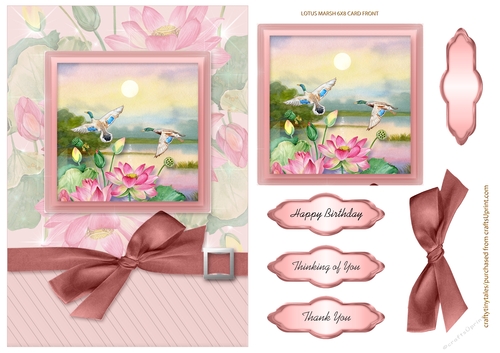 Lotus Marsh 6x8 Card Front-1