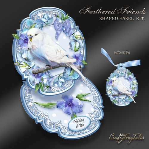 Feathered Friends Shaped Easel  Kit-1
