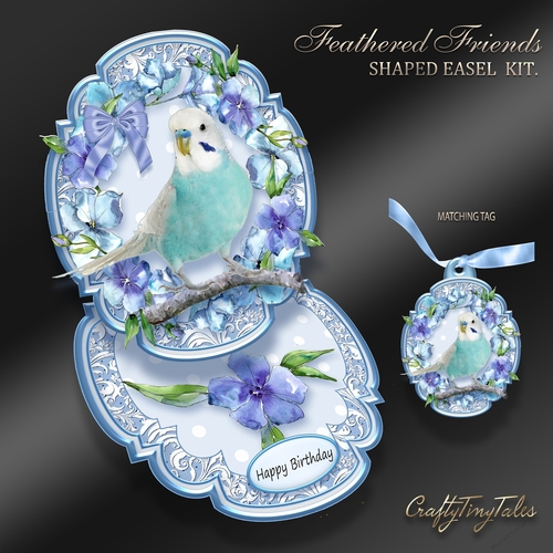 Feathered Friends Shaped Easel  Kit-4