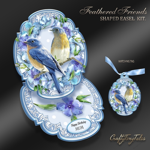 Feathered Friends Shaped Easel  Kit-5