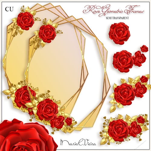Rose Geometric Frame CU-Kit-1