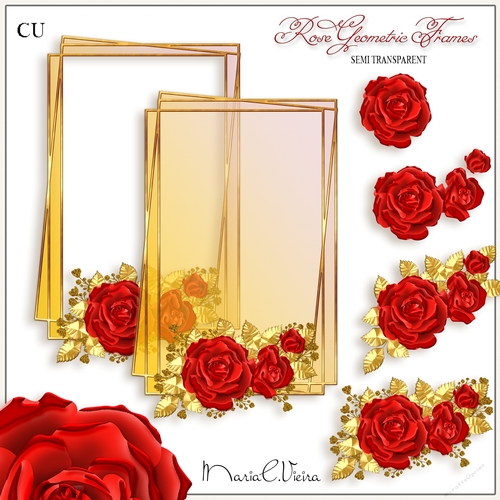 Rose Geometric Frame CU-Kit-2