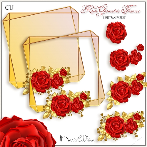 Rose Geometric Frame CU-Kit-3