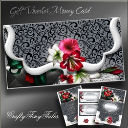 Holiday Amaryllisbloom Voucher MiniKit-2