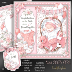 New Baby Girl Newborn 