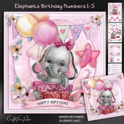 Elephants Birthday Numbers Kit-1