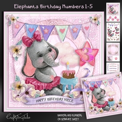 Elephants Birthday Numbers Kit-4