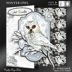 Winter Owl Fold Back Card Kit-1