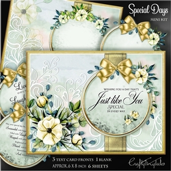 Special Days Gold Series MiniKit-1