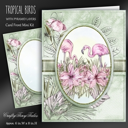 Tropical Birds Kit-6