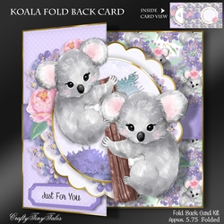KOALA Foldback Card Kit-3
