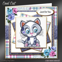 COOL CAT Card Front Kit-3