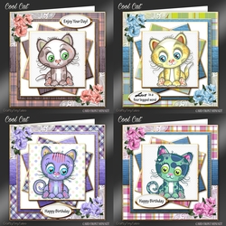 COOL CATS Bumper Kit-2