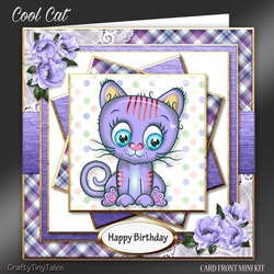 COOL CAT Mini Kit-5