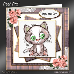 COOL CAT Mini Kit-7
