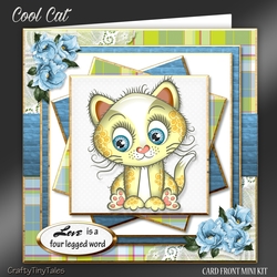 COOL CAT Mini Kit-8