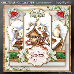 Christmas Holiday Birds Kit-8
