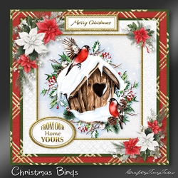 CHRISTMAS BIRDS Kit-2
