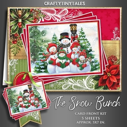 The Snow Bunch 5X7 MiniKit-5