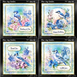 Blue Jay Garden BUNDLE-2