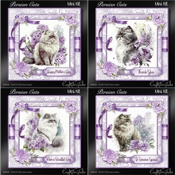 Persian Cats Purple CF BUNDLE